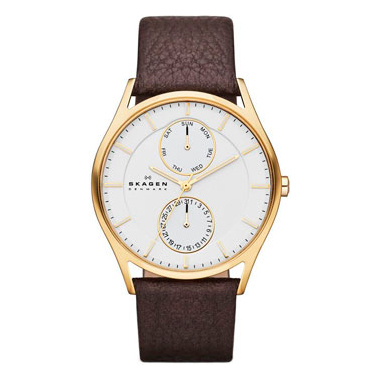 SKAGEN SKW 6066